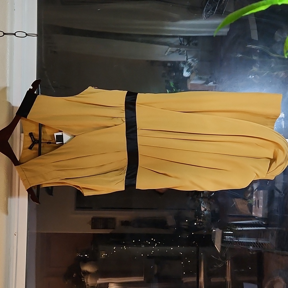 Beautiful Cynthia Steffe silk dress
